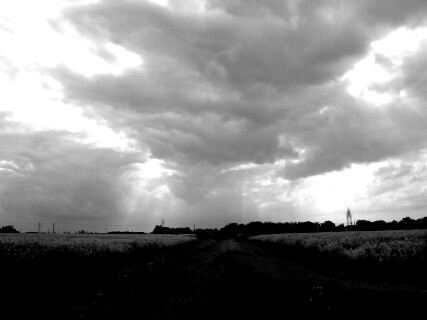 To the tune of Vanilla by Marian Call