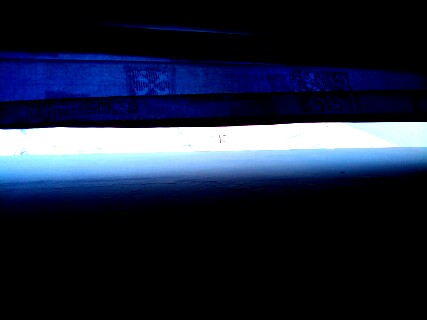 Pregnant With Possibility