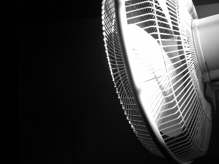 Black and White Fan