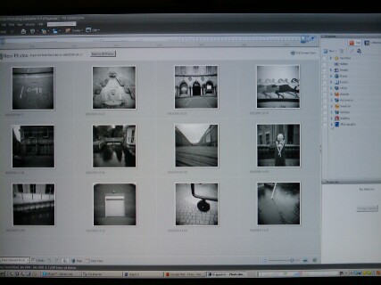 Let the Tagging Begin