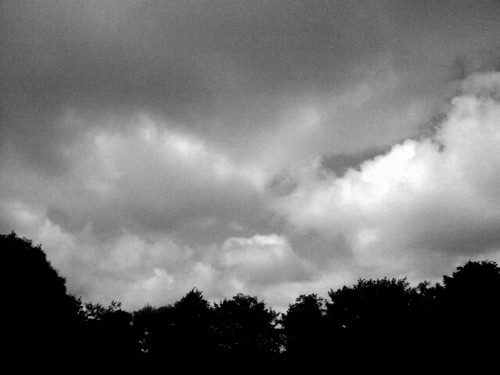 Showers Likely (Retry)