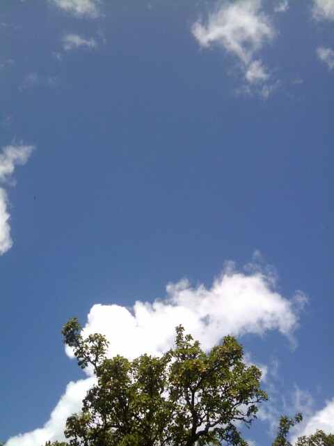 Repeating Shapes Above Me