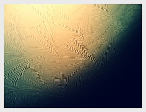 So That Was My Summer