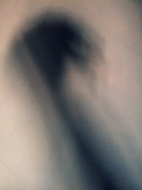 You Wonder if You're Finally Awake