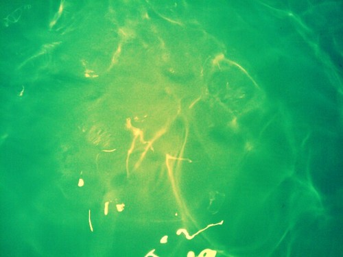 Let's Make Some Waves