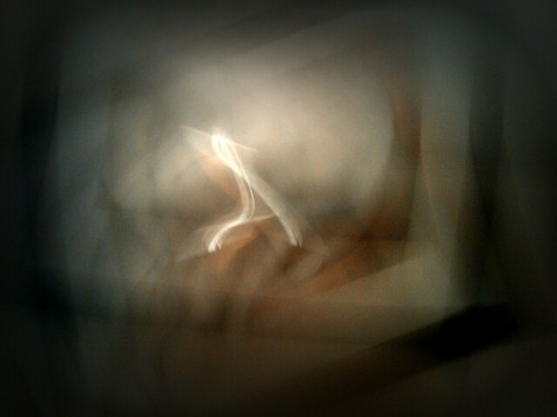 Cat on a Yellow Pillow