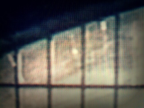 Looking For a Way Out