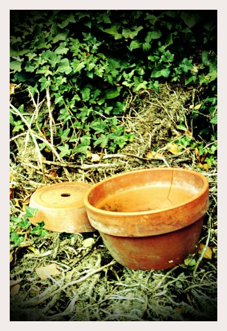 Broken Pot