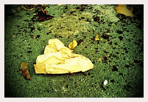 Blew in on the Breeze