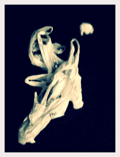 Plastic Bag #13