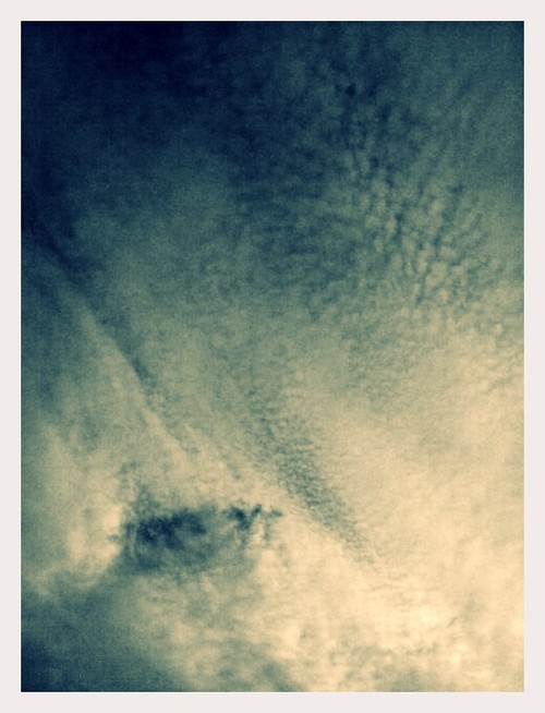 I Imagined an Escape Route