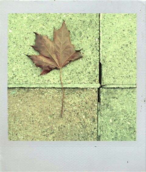 Kicked Around But Not Getting Anywhere