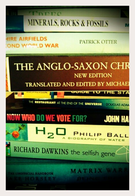 Overflow Stack (One Of Many)