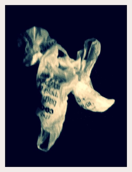 Plastic Bag #21