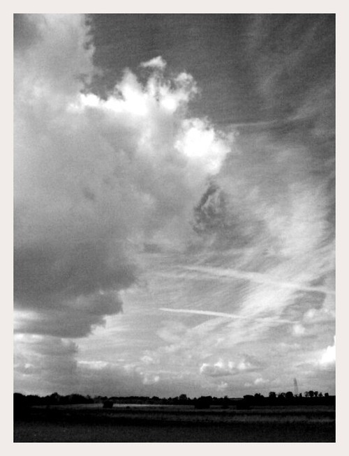 Vandalize This, I Dare You.