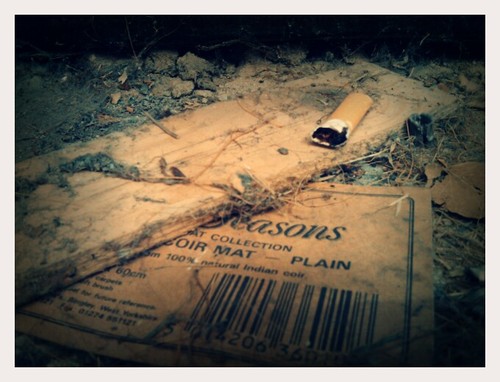 Reminder of an Old Addiction