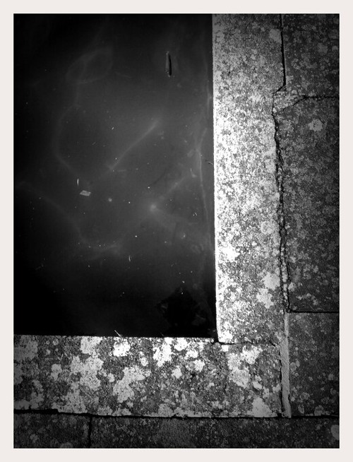 Sunlight on the Corner