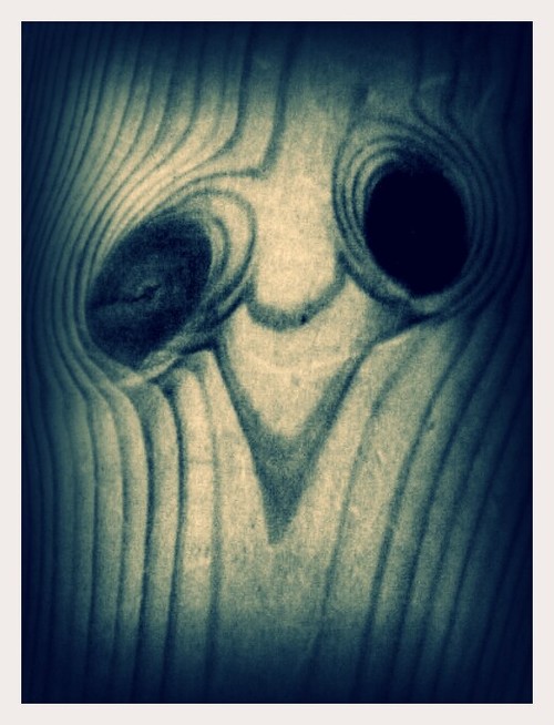 More Eyes Everywhere