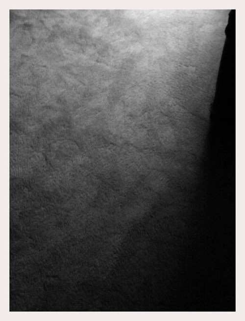 Dull Days Give Great Shadows