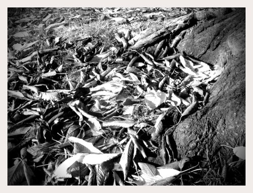 The Fallen, Gathered