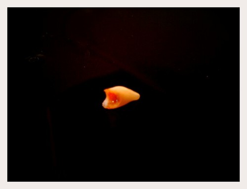 Slightly Less the Child