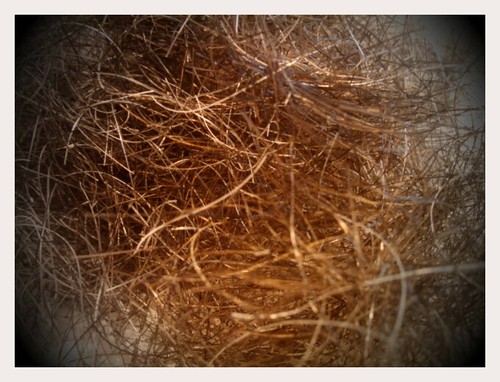 Today My Chin Will Be Cold