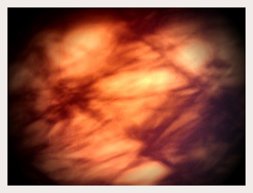 Stopped Me in My Tracks