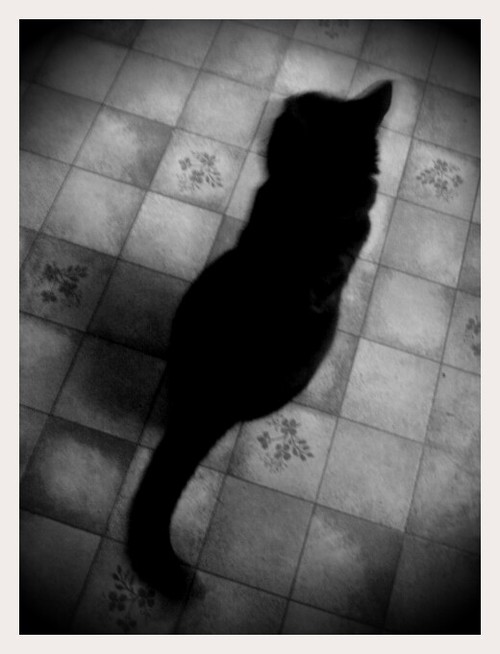 Some Kind of Welcome