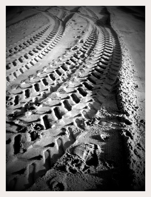 Tracks