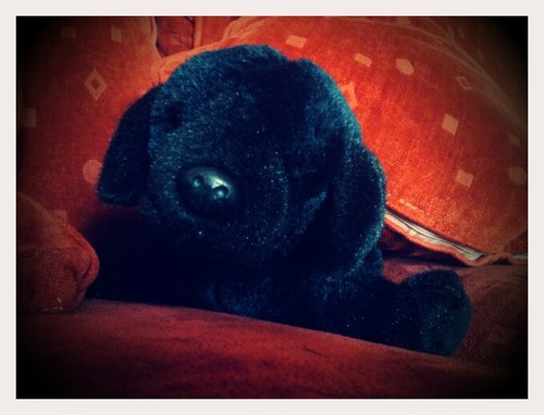 Even Better Than the Real Thing