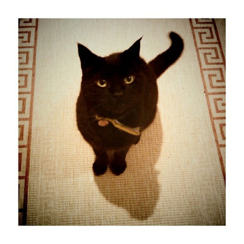 Stop Messing With That Camera and Feed Me!