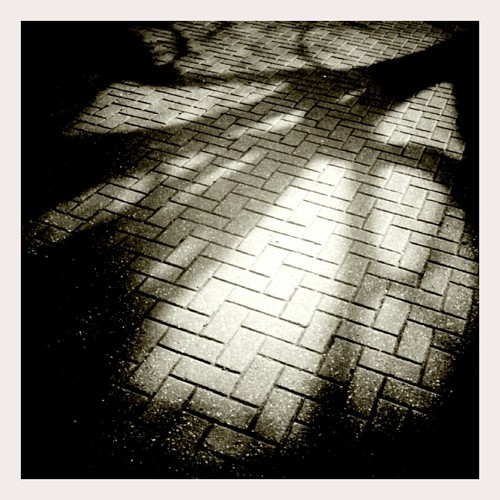 Morning Out of My Safety Zone