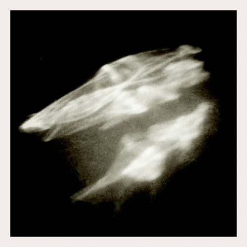 She Came In Through the Kitchen Window