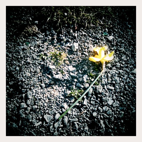 I Wish it Was Spring for You Too