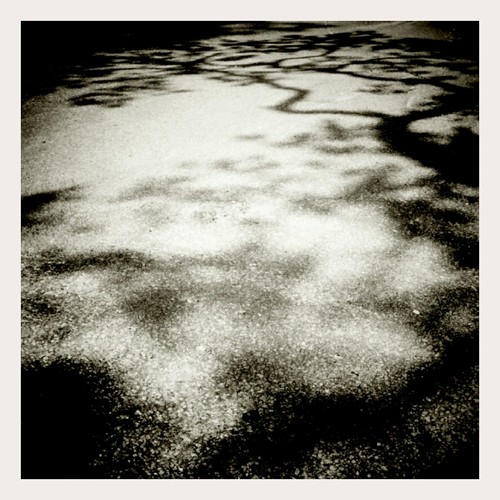 Filling in Until Next Time