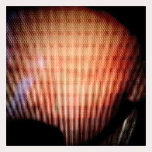 Please Don't Do What I Fear You Will