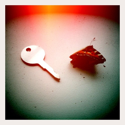 Key and Butterfly