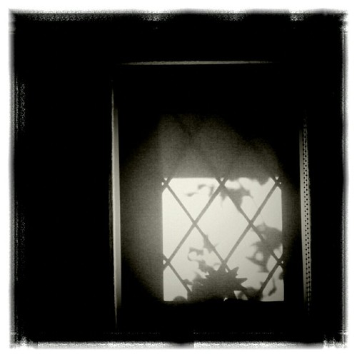 I Want to Show You This