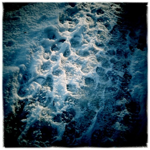 Of Course I Will Follow