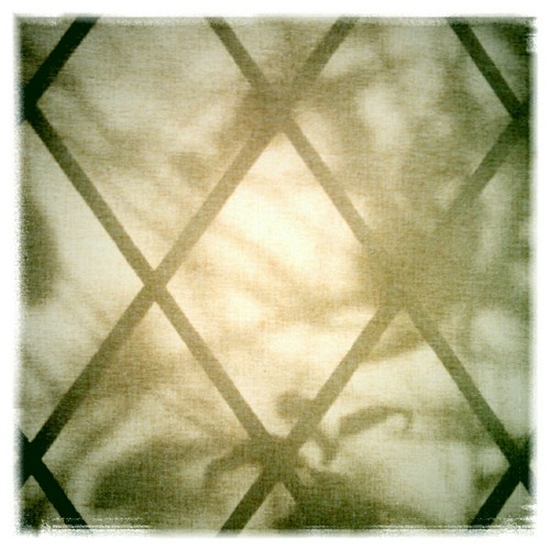 Anonymous For Your Pleasure