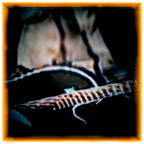 A Song to Keep Us Warm