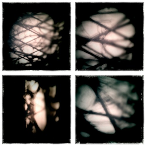 Creeping Along the Wall