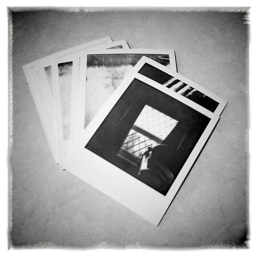 In an Instant, You Were Gone