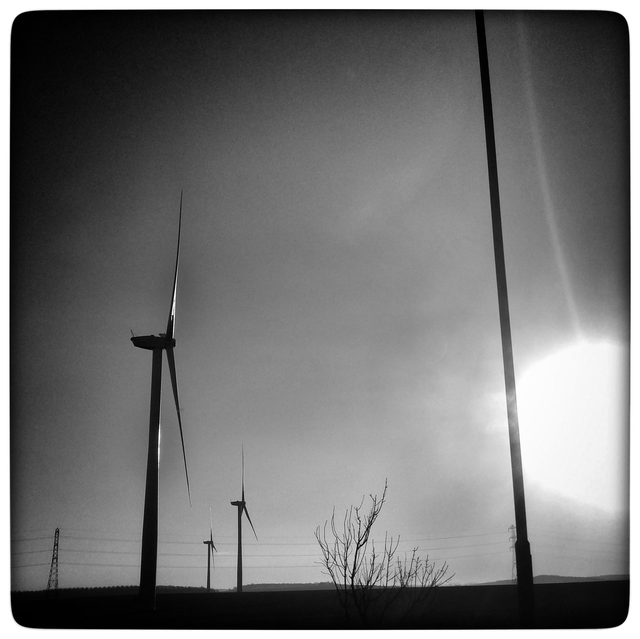 Roadside attractions