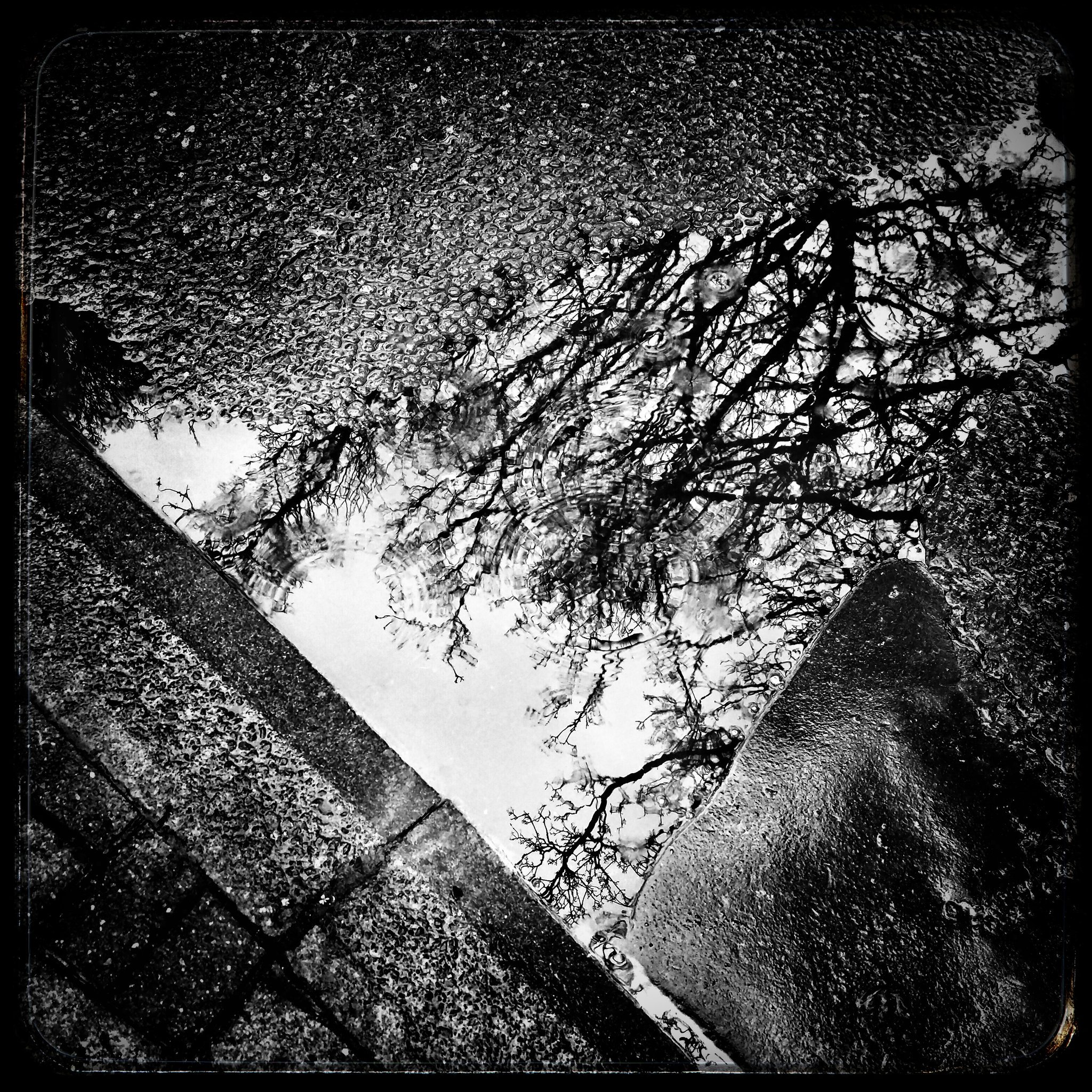 A glimpse of the other side