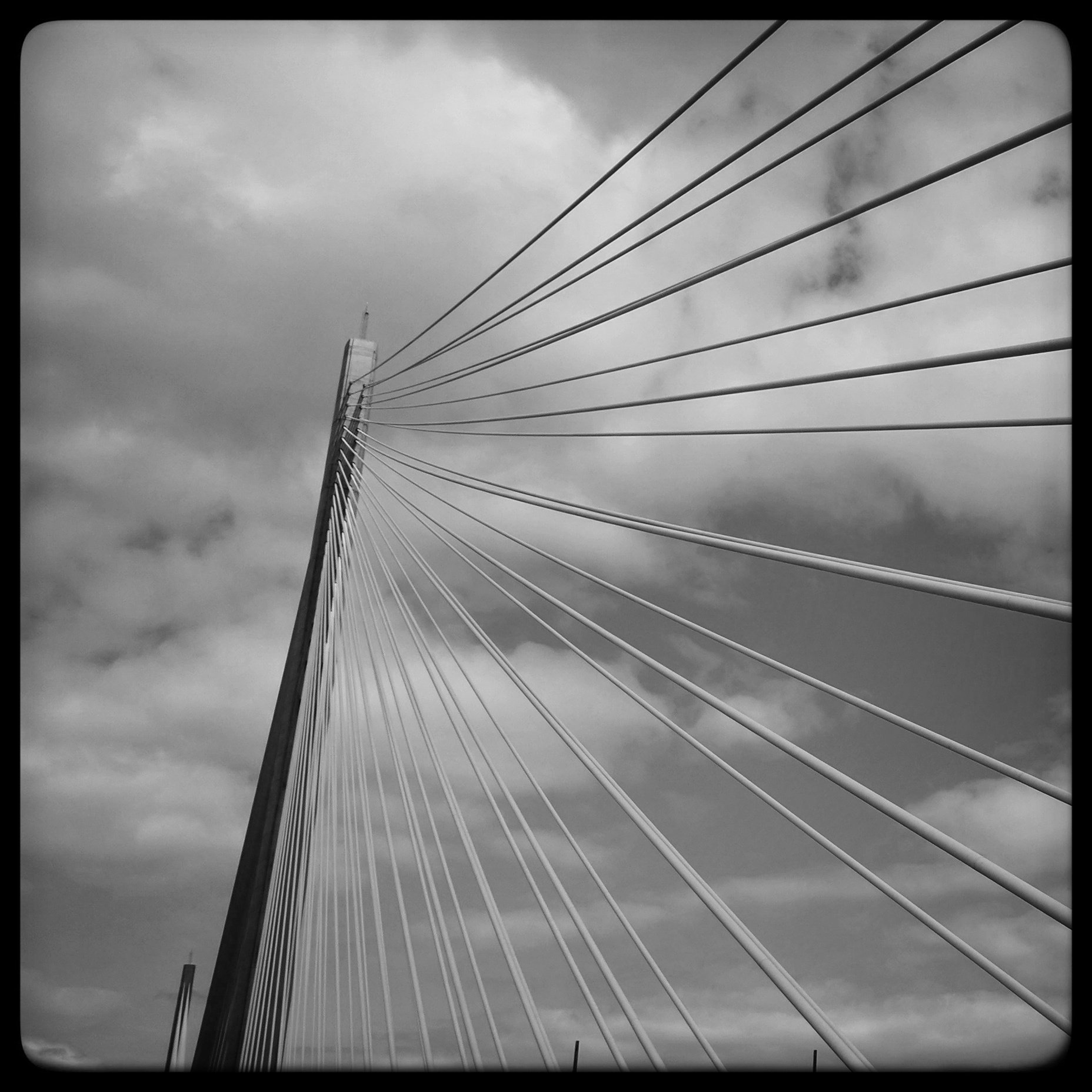 One of the 50,000 #1