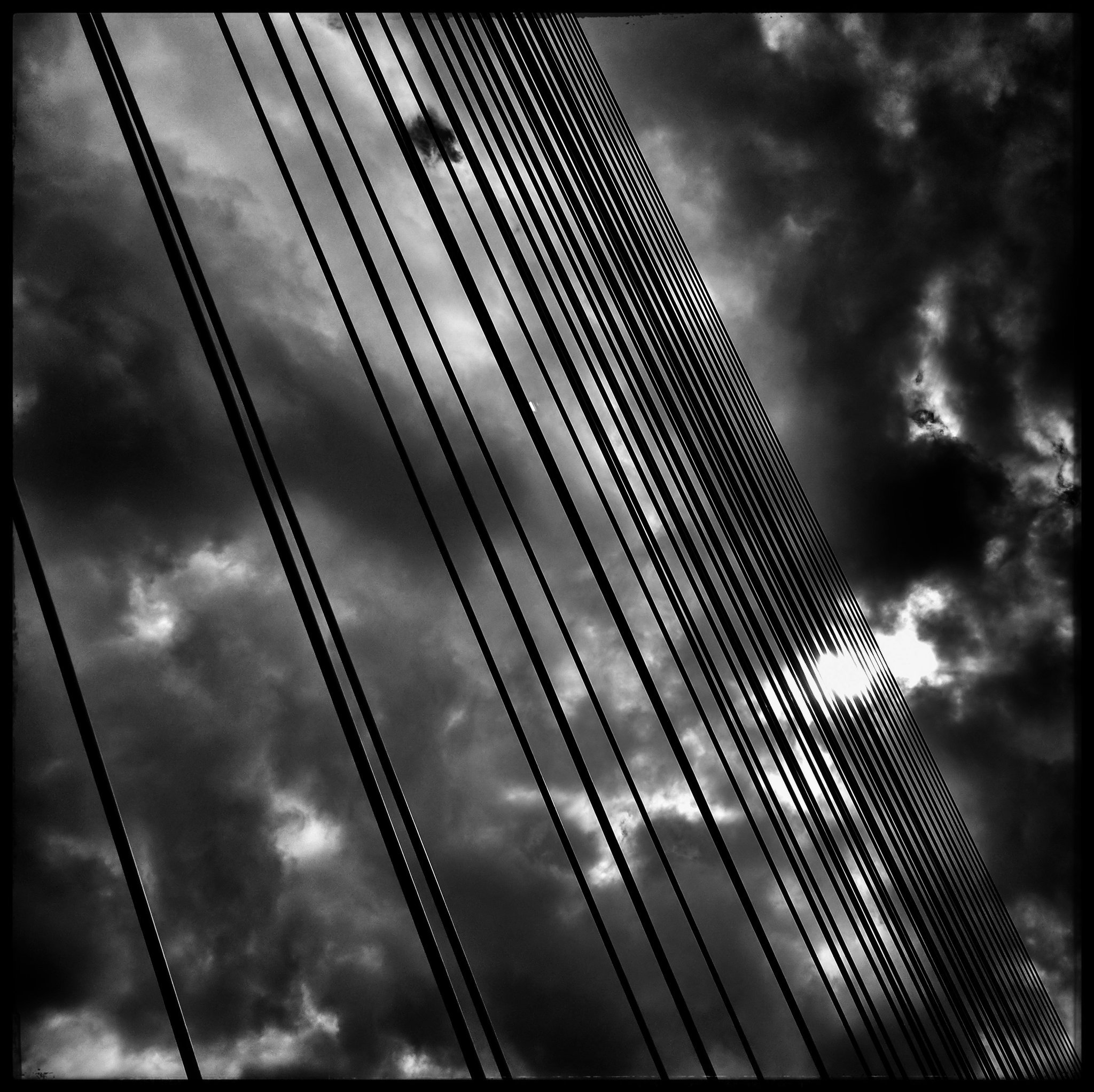 One of the 50,000 #2