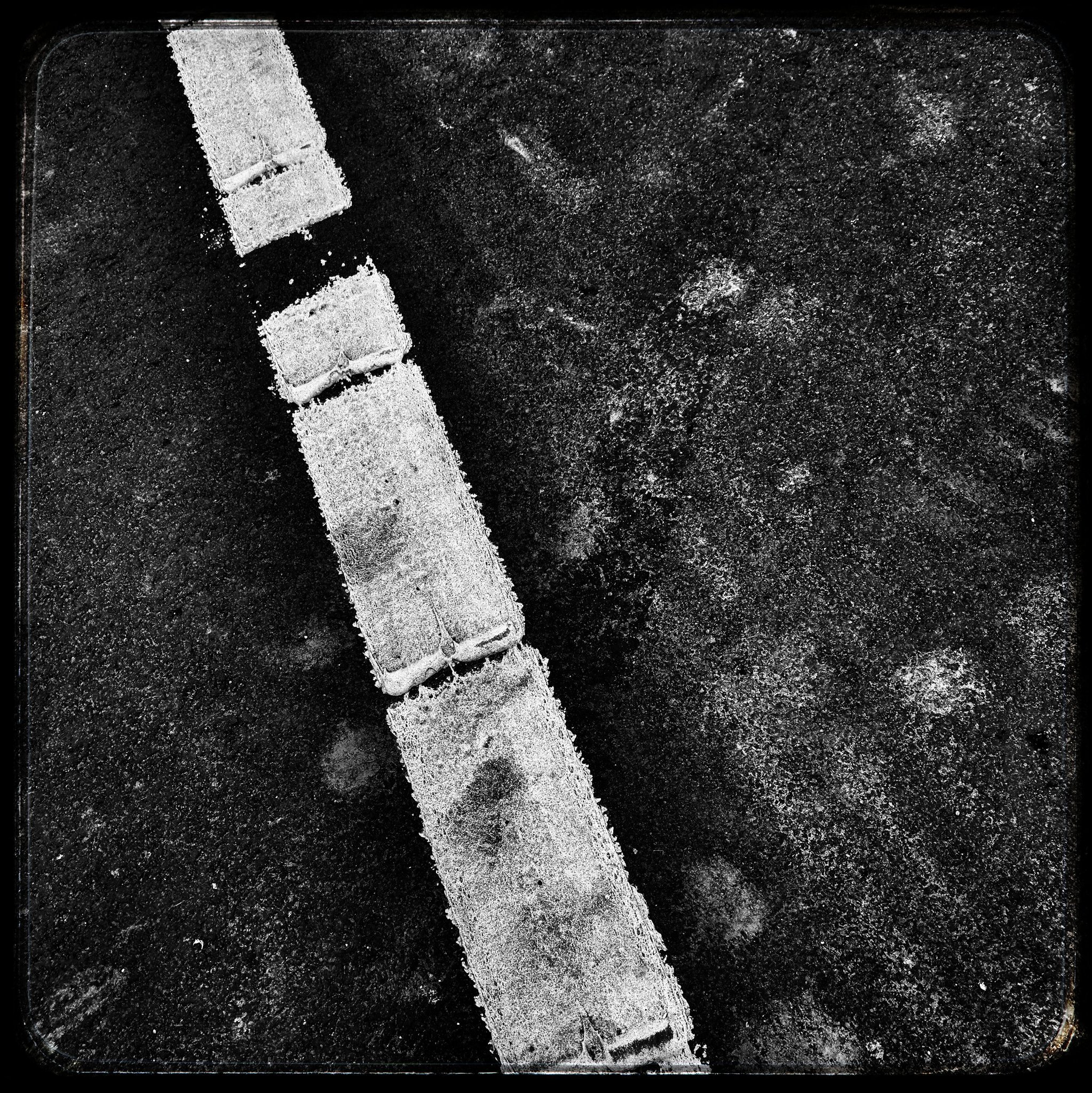 One of the 50,000 #3