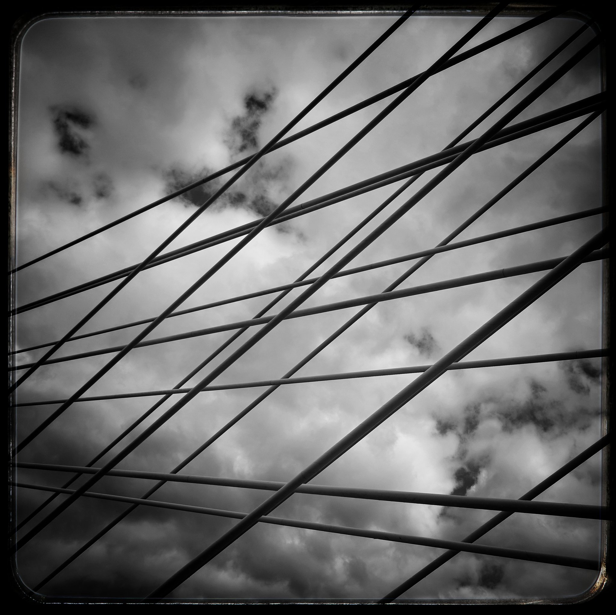 One of the 50,000 #4