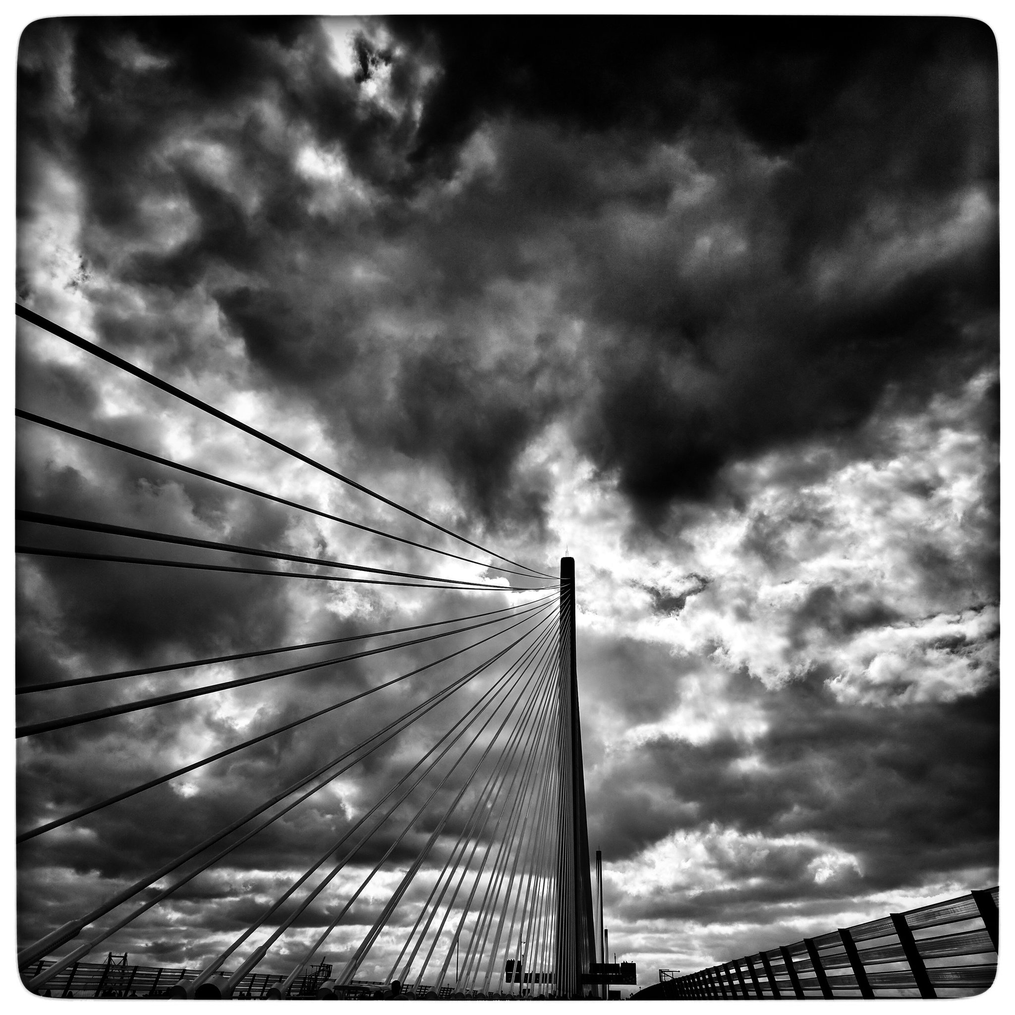 One of the 50,000 #5